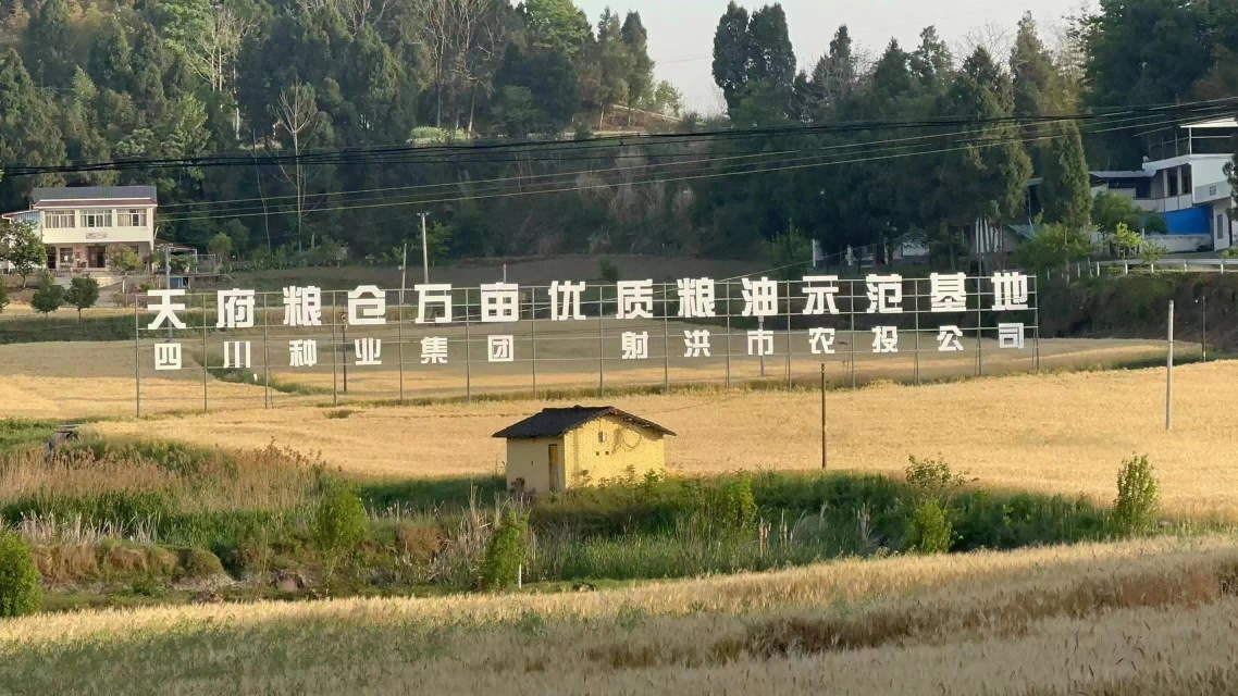 射洪优质粮油基地