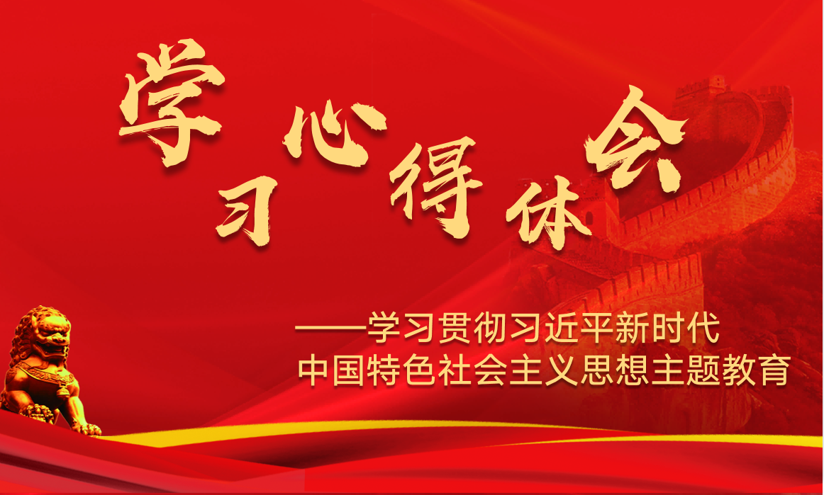 习近平中国特色社会主义思想主题教育 理论学习心得体会