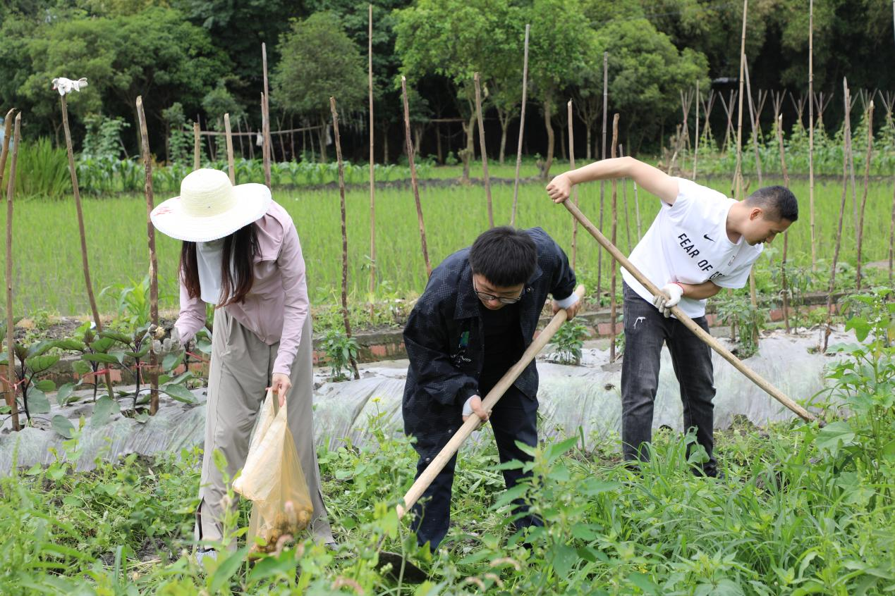 四川现代种业集团第二党支部举办“党建引领促春耕，不负农时迎丰收”主题党日活动2.png