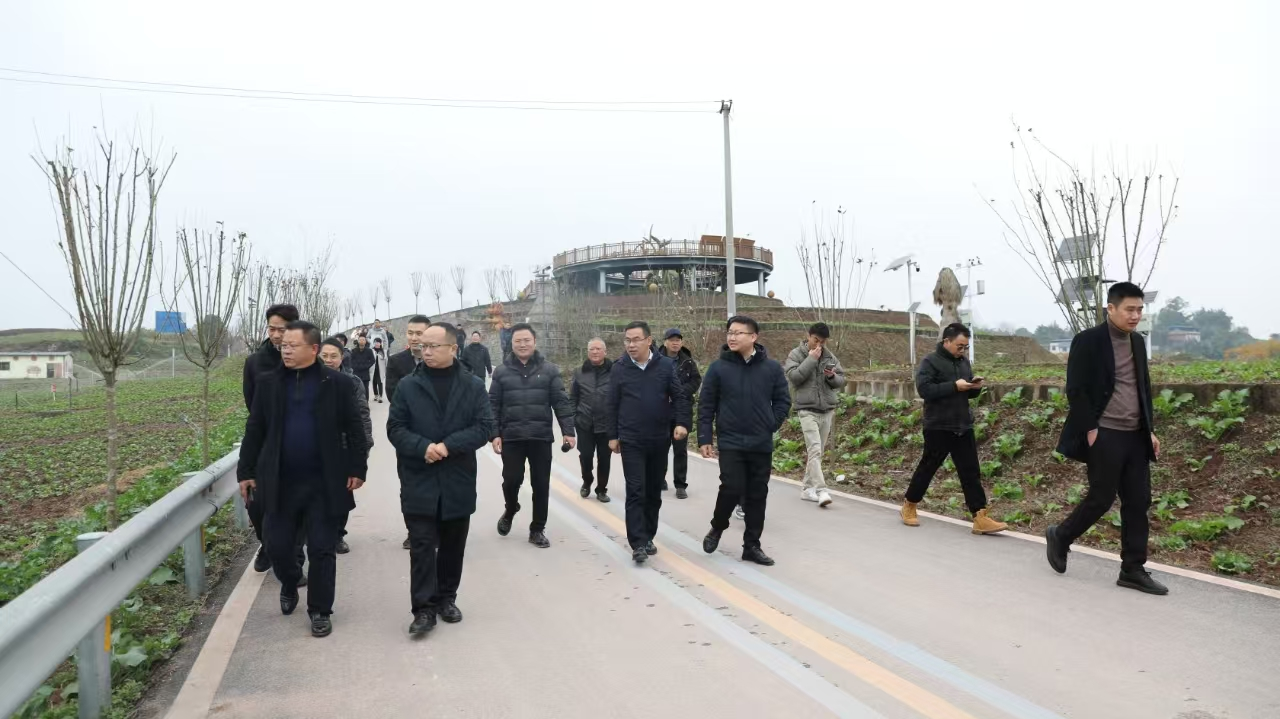 自贡市2025年小春粮油生产现场会在种芯农业公司基地召开1.png