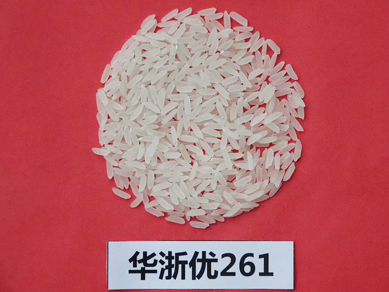 华这有图2.png