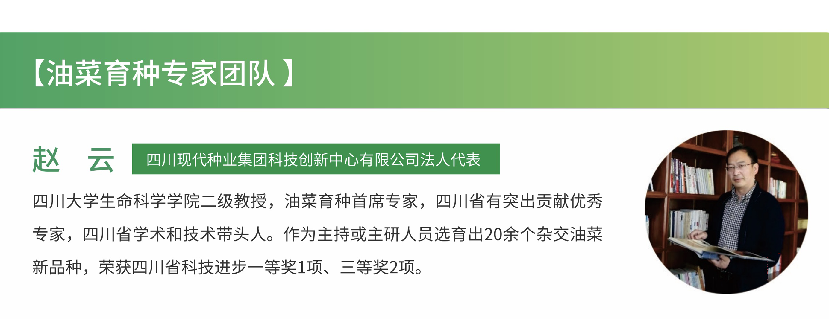 油菜 赵云.png