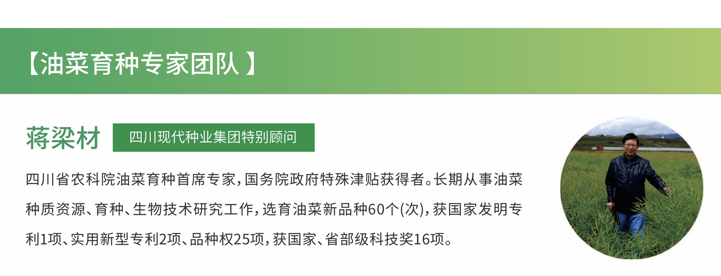 油菜 蒋.png
