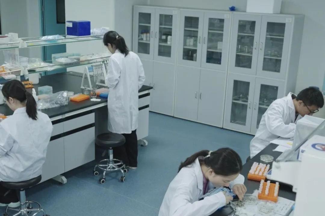 彰显种业科技硬实力！四川现代种业集团联合共建实验室入选省重点