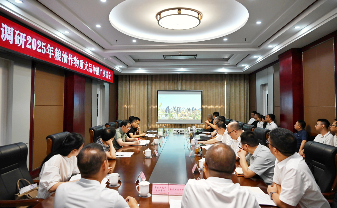 产业链发展--就下一步pic2.png