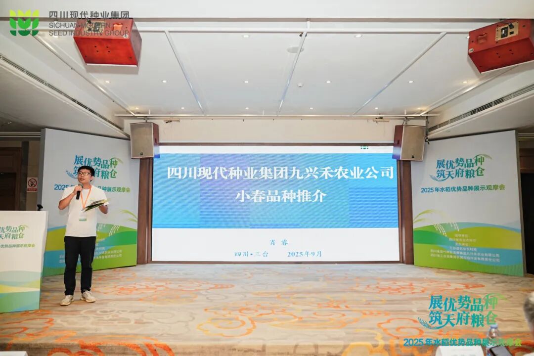 9.6定心丸-推介pic3.jpg