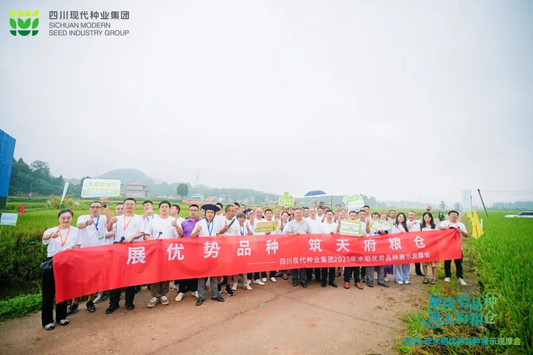 9.6详细推介通过pic4.jpg