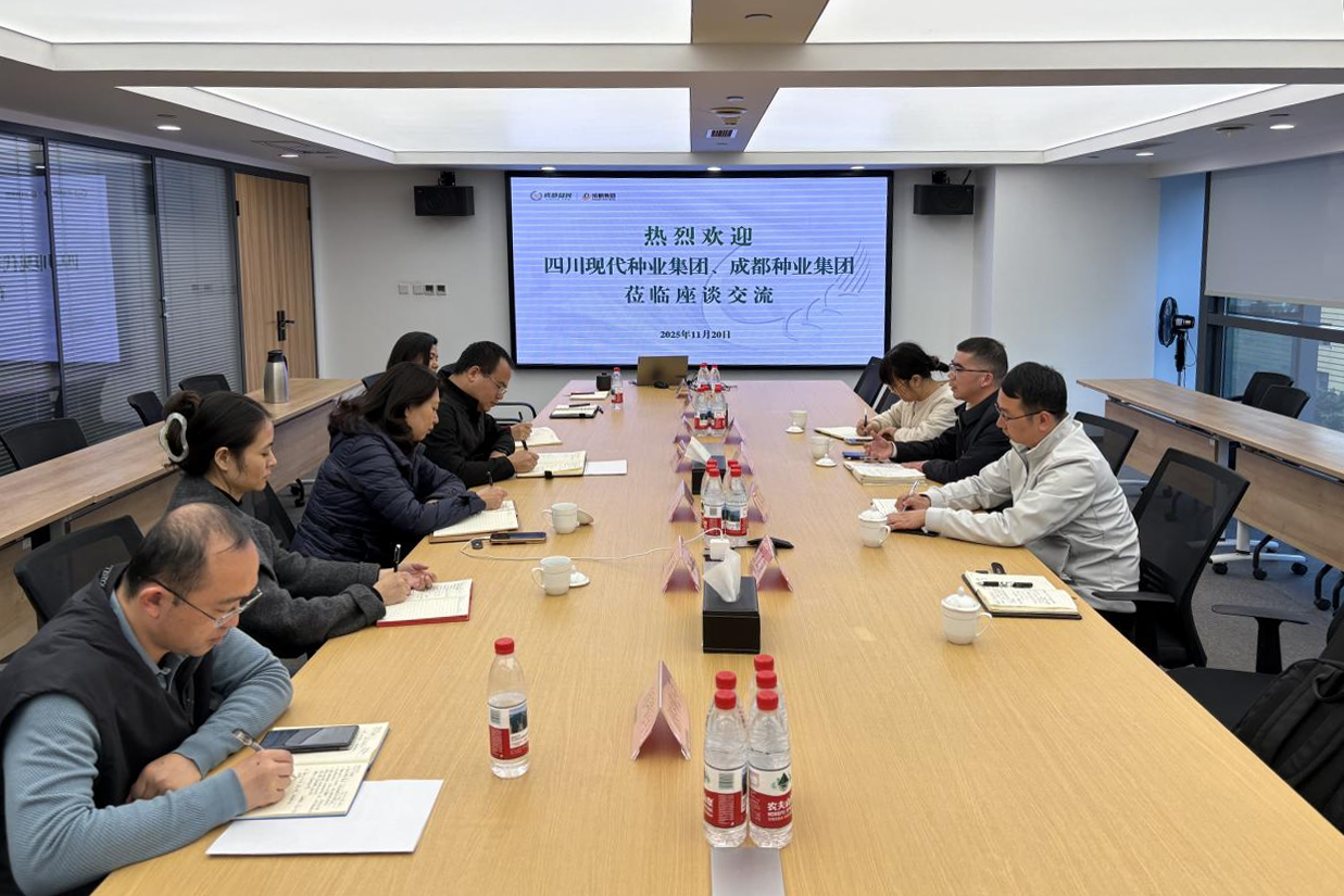 11.24蜀丰种源公司与成都粮食集团、成都种业集团开展合作洽谈pic.png