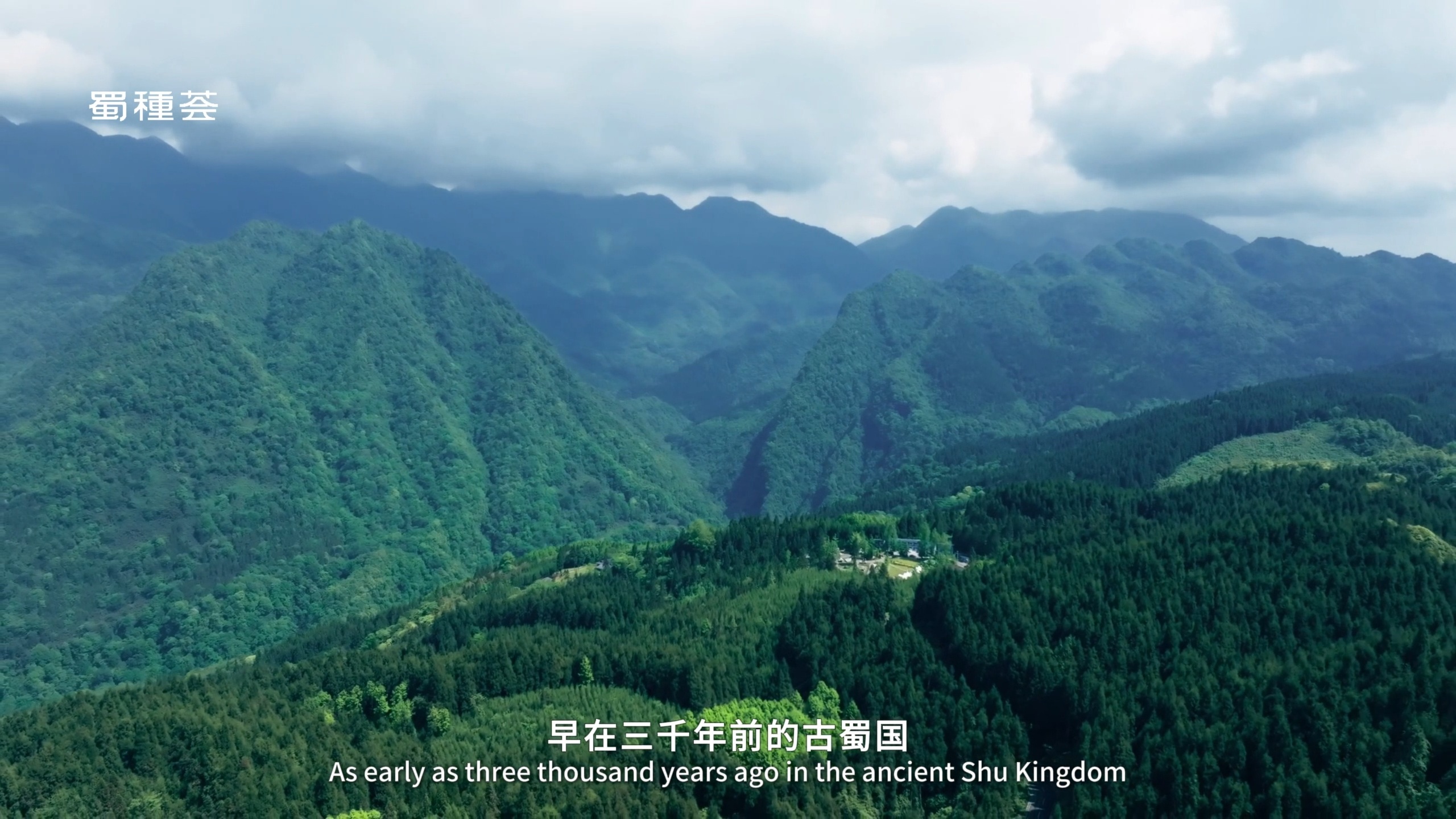 蜀种荟品牌宣传片