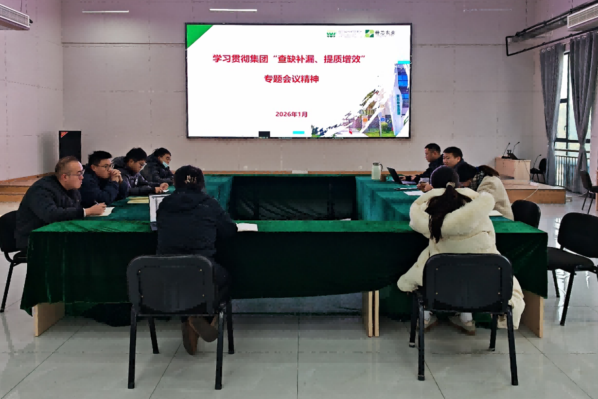 种芯农业公司召开专题会议 学习贯彻集团“查缺补漏、提质增效”专题座谈会议精神