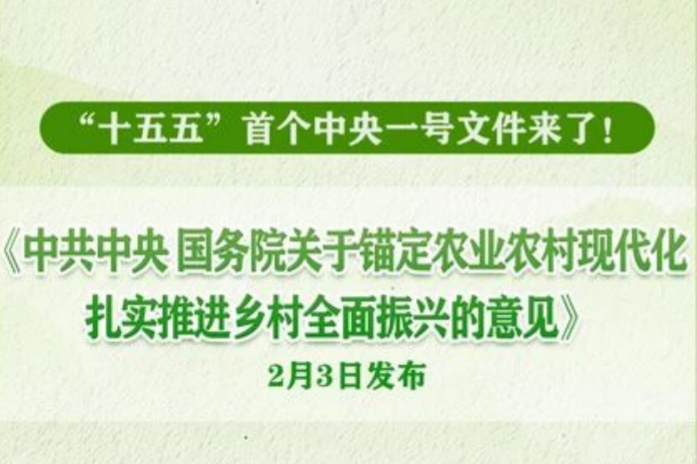 2026年中央一号文件，发布！