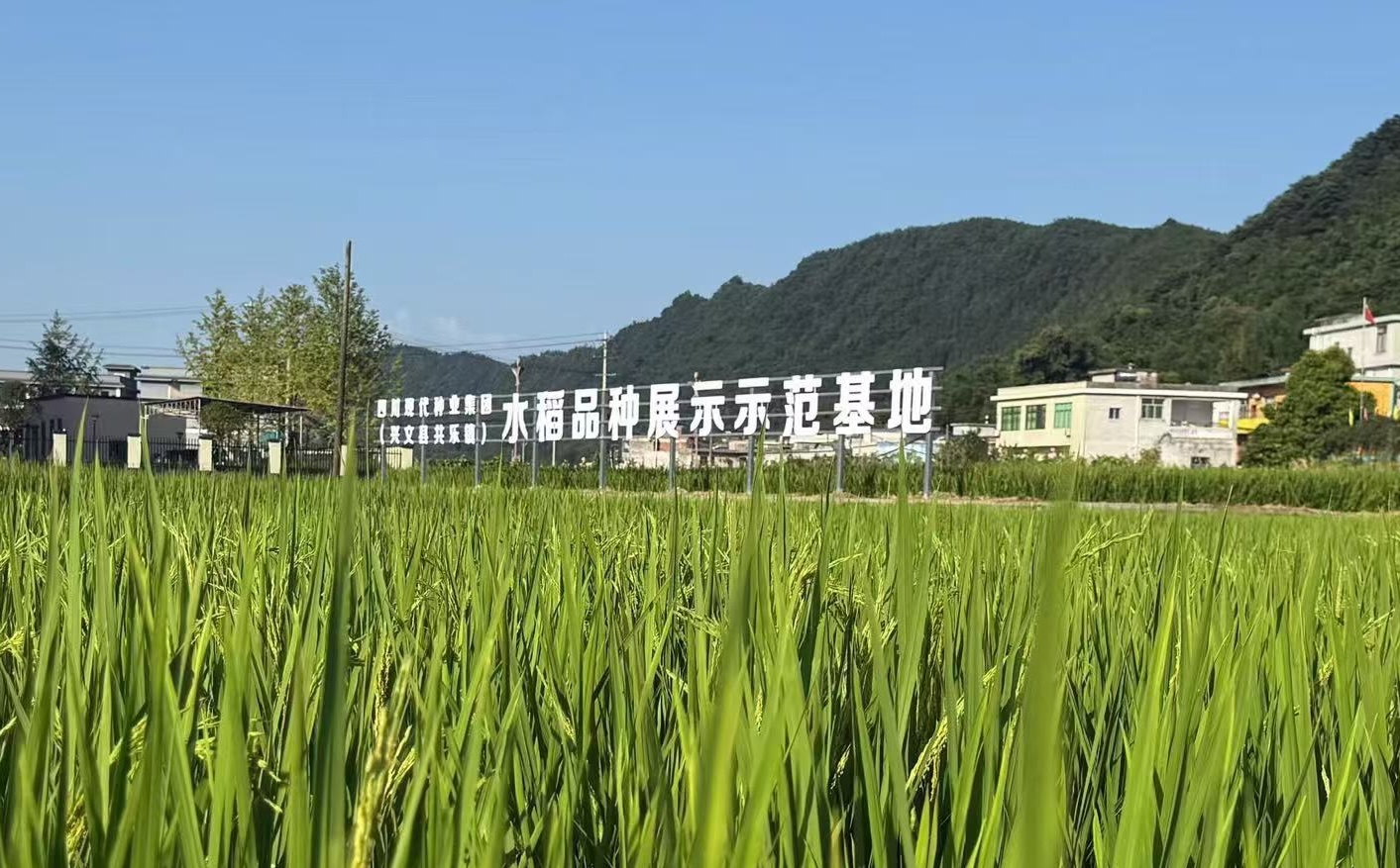 微信图片_20260730144521_612_648.jpg